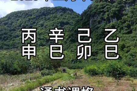 7月动土黄道吉日查询2025年(7月动土黄道吉日查询2025年搬家)