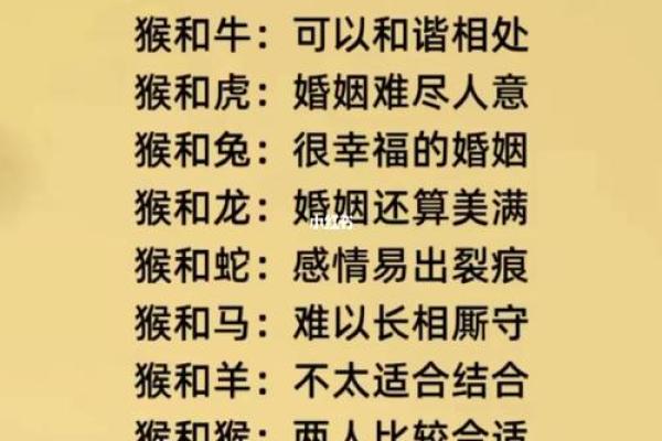 2002年属马女孩最佳结婚时间(2002年属马女最佳结婚年龄)