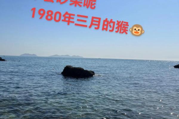 1980年属猴搬家的黄道吉日(1980属猴的人吉利方位)