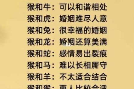 2002年属马女孩最佳结婚时间(2002年属马女最佳结婚年龄)