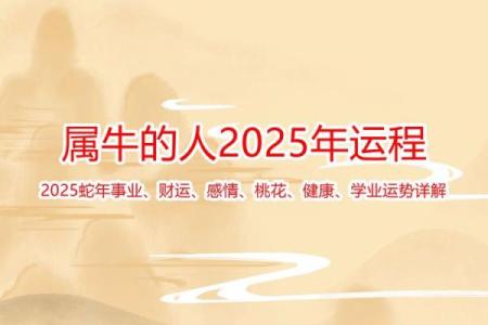 1997属牛2025年结婚吉日(97年属牛2025年结婚好不好)