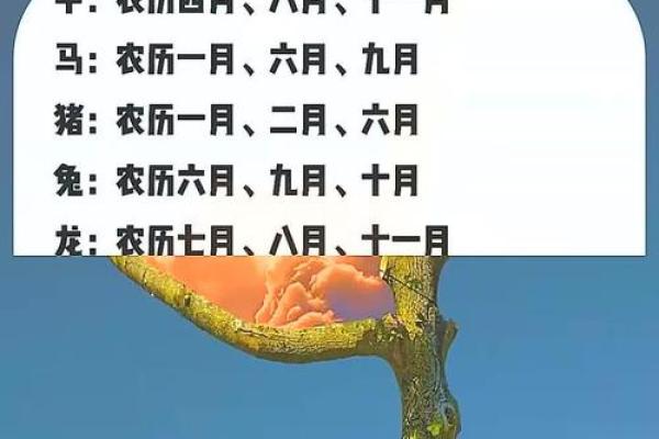 7月生孩子最吉利的三个日子 7月生孩子最吉利的三个日子