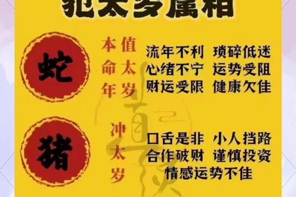2000年龙最佳结婚时间(2000年的龙2025年结婚好吗)