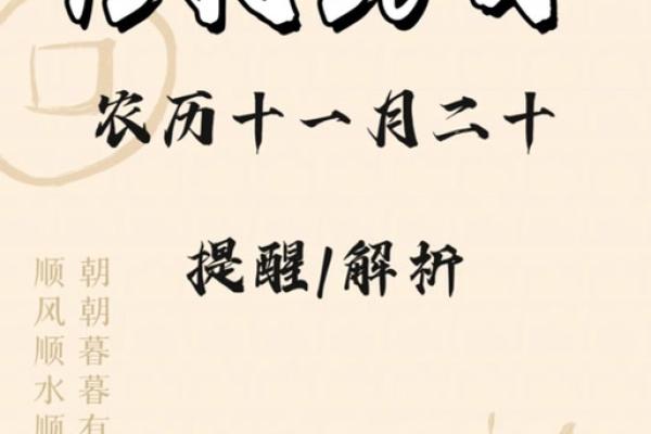 2024年属兔结婚吉日一览表(2024年兔年好不好)