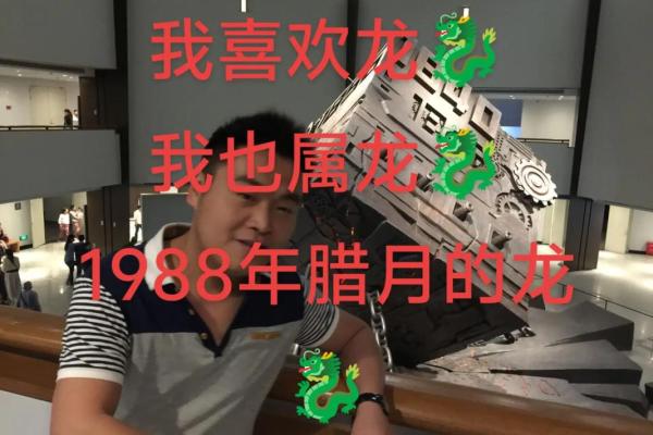 1976年属龙人2025年搬家吉日(1976年属龙人2025)