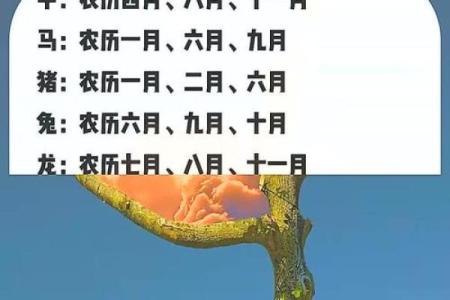 7月生孩子最吉利的三个日子