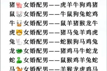 1993鸡男与1996鼠女结婚吉日(1993年属鸡男和1996年属鼠女婚姻状况)