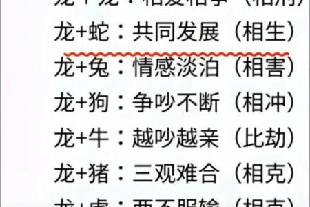 2000年龙最佳结婚时间(2000年的龙2025年结婚好吗)