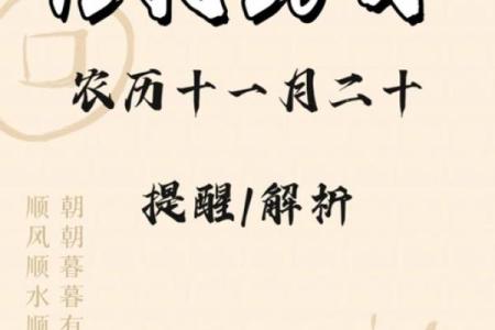2024年属兔结婚吉日一览表(2024年兔年好不好)