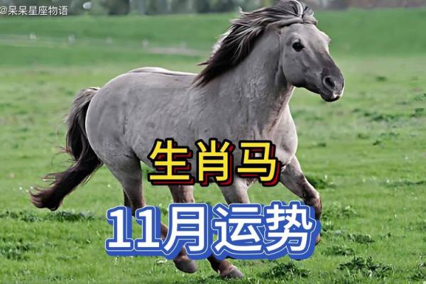 2024年属马结婚吉日一览表(2024年属马人的全年运势详解)