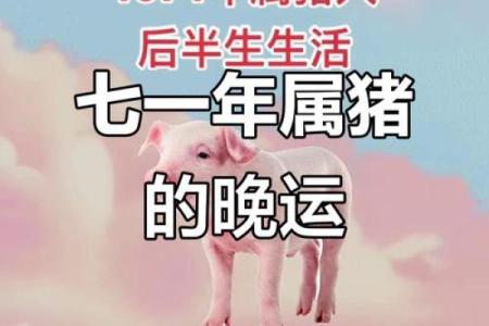 1971年属猪2025年搬家吉日(1971年的猪几月搬家最好)