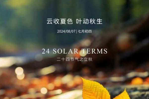 8月8号立秋时间(8月几号立秋几点几分)