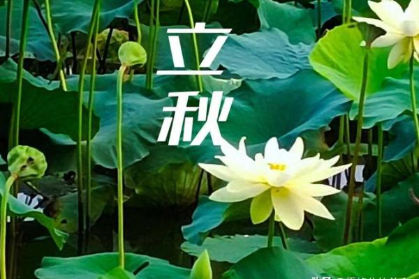 8月8号立秋时间(8月几号立秋几点几分)