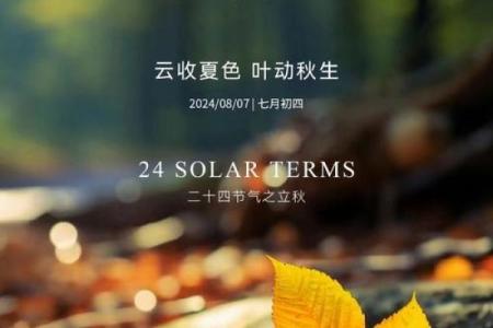8月8号立秋时间(8月几号立秋几点几分)