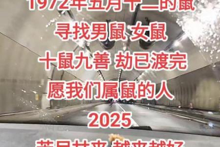 1972属鼠大忌颜色 1972年属鼠忌讳什么颜色