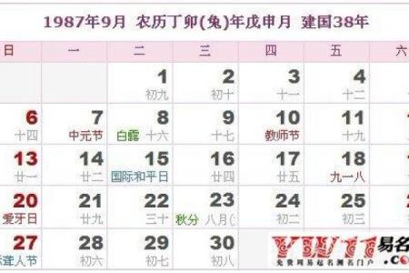 1982年农历9月9日是阳历的多少号 农历1982年9月9日出生的命运