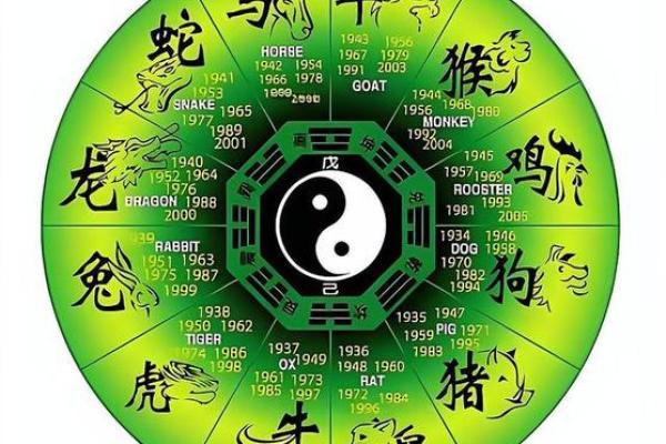 风雨一生桥与路谜底生肖动物解析，新手必学