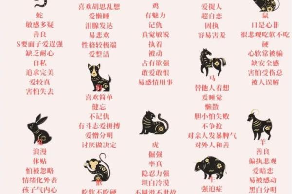 穷兵黩武”对应的生肖动物解析，详细教程
