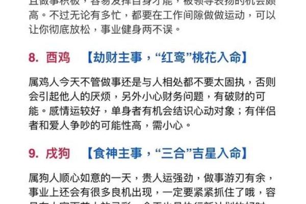红不棱登代表什么生肖最准确的说法，高手技巧