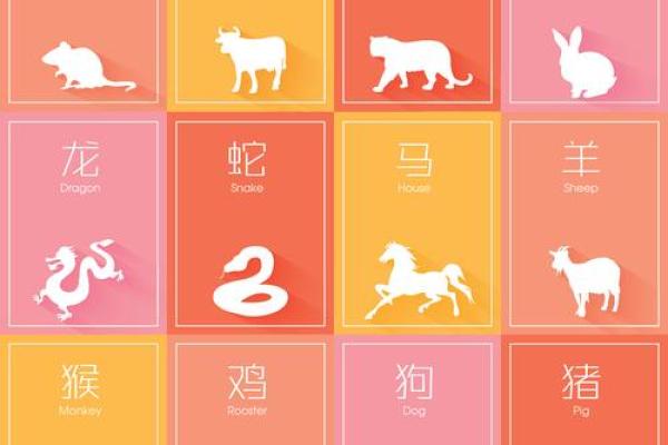 民情土俗代表什么生肖动物，高手技巧