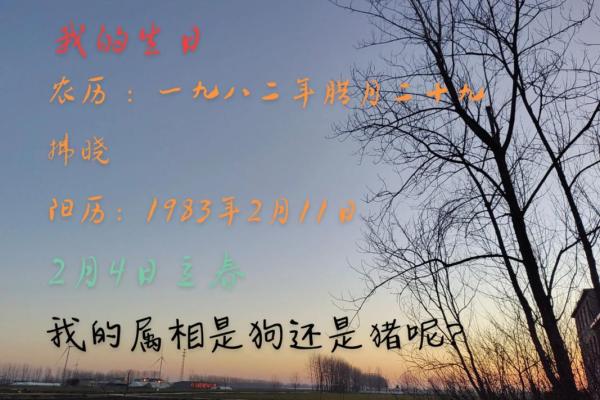 1979年2月13日阴历是多少 1979年2月13日阳历是什么时候
