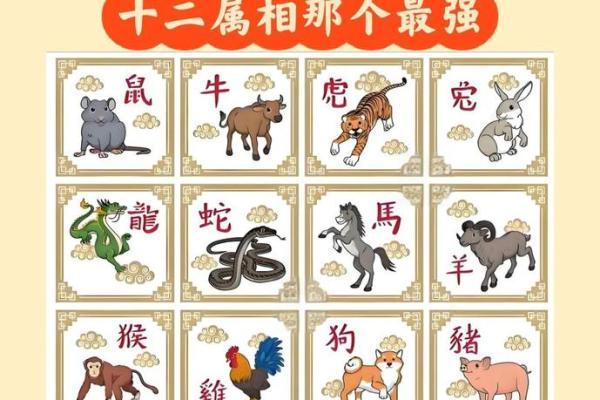 手足无措在十二生肖中对应哪个动物最贴切，必看攻略