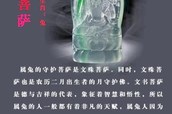 菩萨的胸怀代表什么生肖动物，小白也能学会