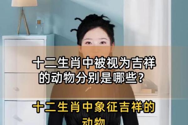 明眸皓齿在十二生肖中代表哪个动物，不看后悔