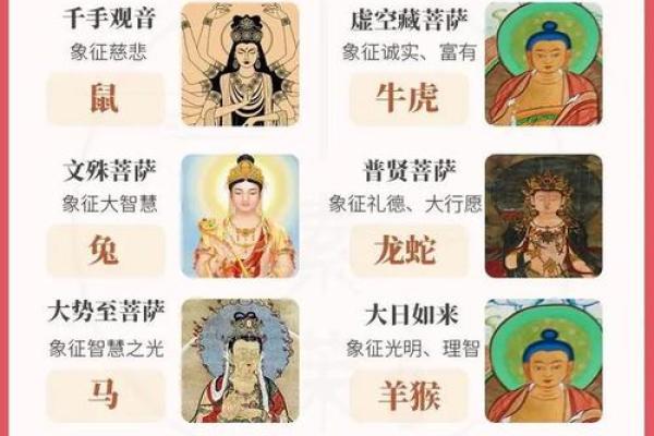 安然无恙指的是哪个生肖的象征意义，详细教程