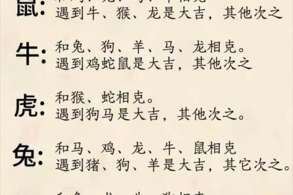 牵肠挂肚对应的生肖是什么动物，小白也能学会