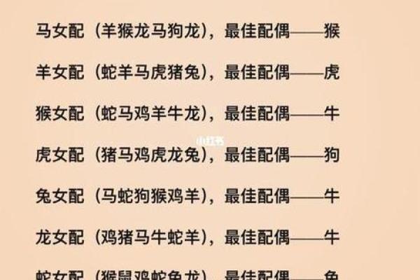宽备窄用对应的生肖动物和性格特征详解，高手技巧