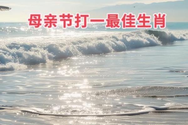 眉眼传情”打一生肖的谜底及详细解析，新手必学