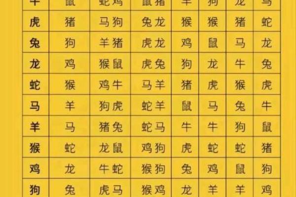 街坊邻居”在十二生肖中对应哪个动物，实战技巧