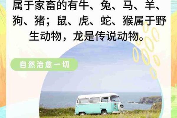 狼烟四起在十二生肖中代表哪个动物最准确，实战技巧