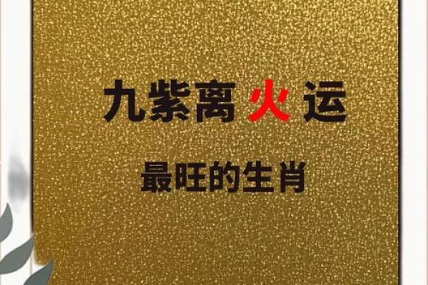 危险象征的生肖是哪个 民间传说最准答案，独家秘籍