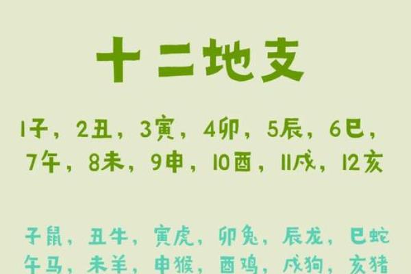 出生时辰对照表与生肖五行关系详解，独家秘籍