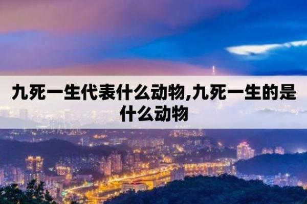 笔下留情打一生肖动物是什么答案，不看后悔