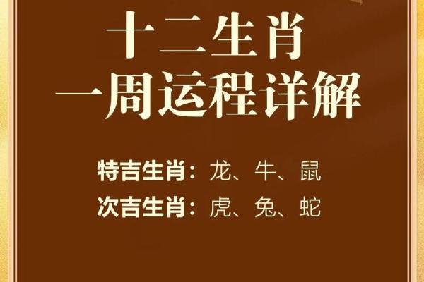十二生肖我为先”打一生肖的正确答案，独家秘籍