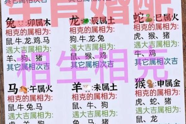 十二生肖我为先”打一生肖的正确答案，独家秘籍