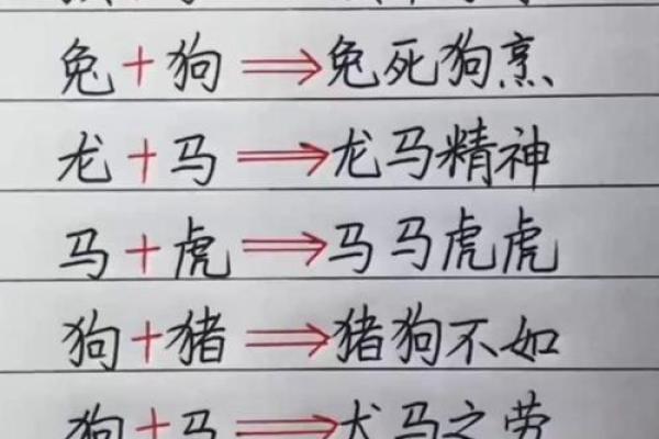 七拼八凑”对应的生肖动物是什么？最准解释，必看攻略