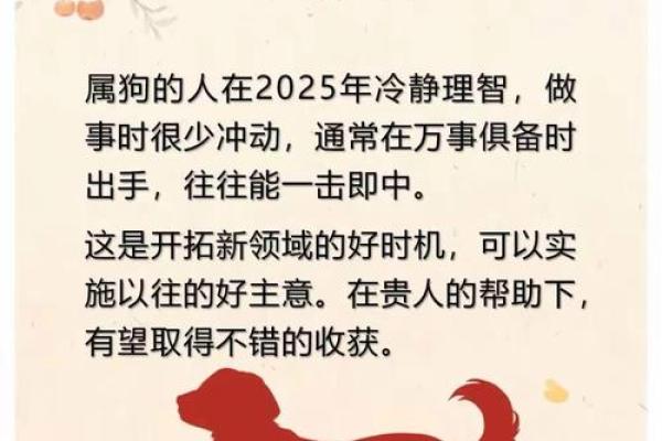 两面三刀形容什么生肖动物最准确，小白也能学会