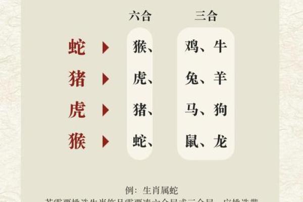 奄奄一息对应的生肖动物解析，新手必学