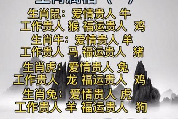 大江东去打一生肖动物是什么答案，新手必学