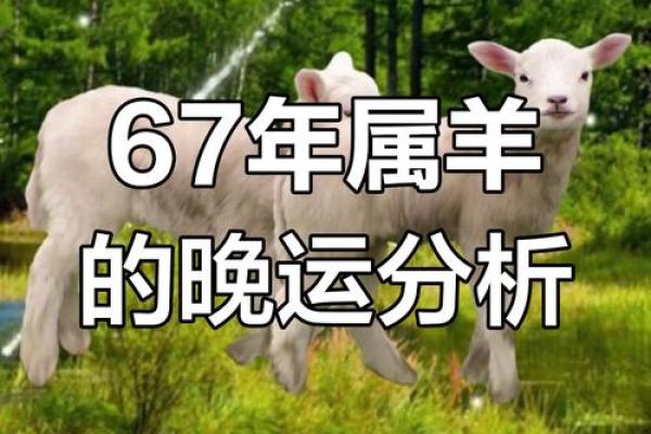 1967年属羊大忌颜色 1967年属羊什么颜色旺财
