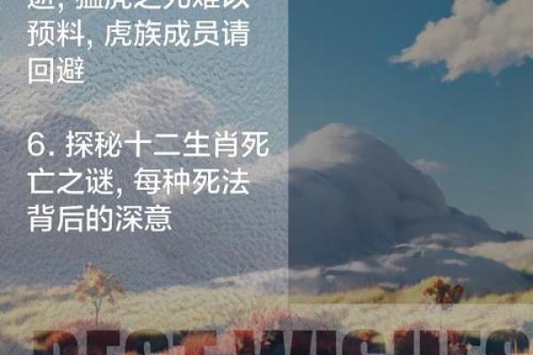 虚名在外”指的是什么生肖动物谜底解释，实战技巧