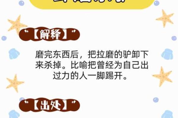 虚名在外”指的是什么生肖动物谜底解释，实战技巧