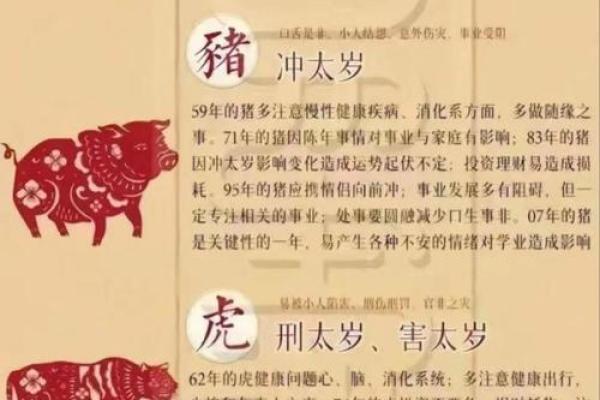 12生肖相生相克表图解与五行关系详解事业合作，最新方法分享