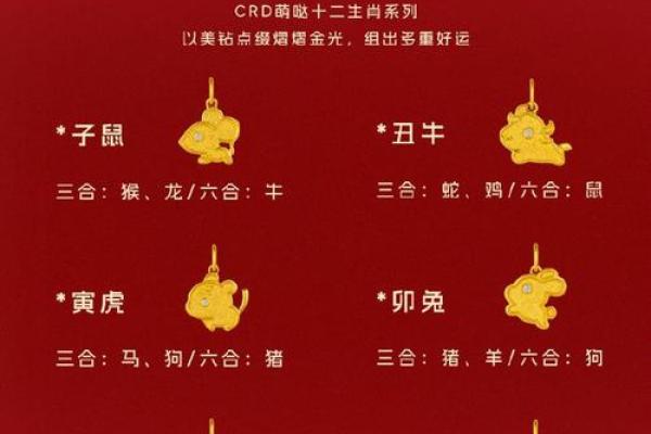 义结金兰在十二生肖中代表哪个动物，终极指南