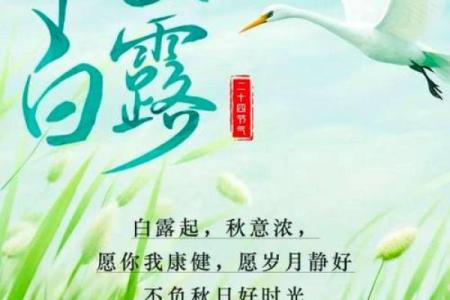 9月7号白露几点几分 9月7日白露几时几分