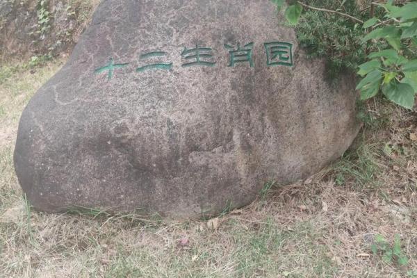 艳阳高照暖大地对应的生肖谜底是什么，高手技巧
